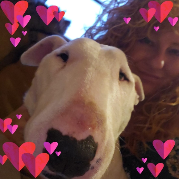 Meet your Posher, Samantha - Picture 1 of 1